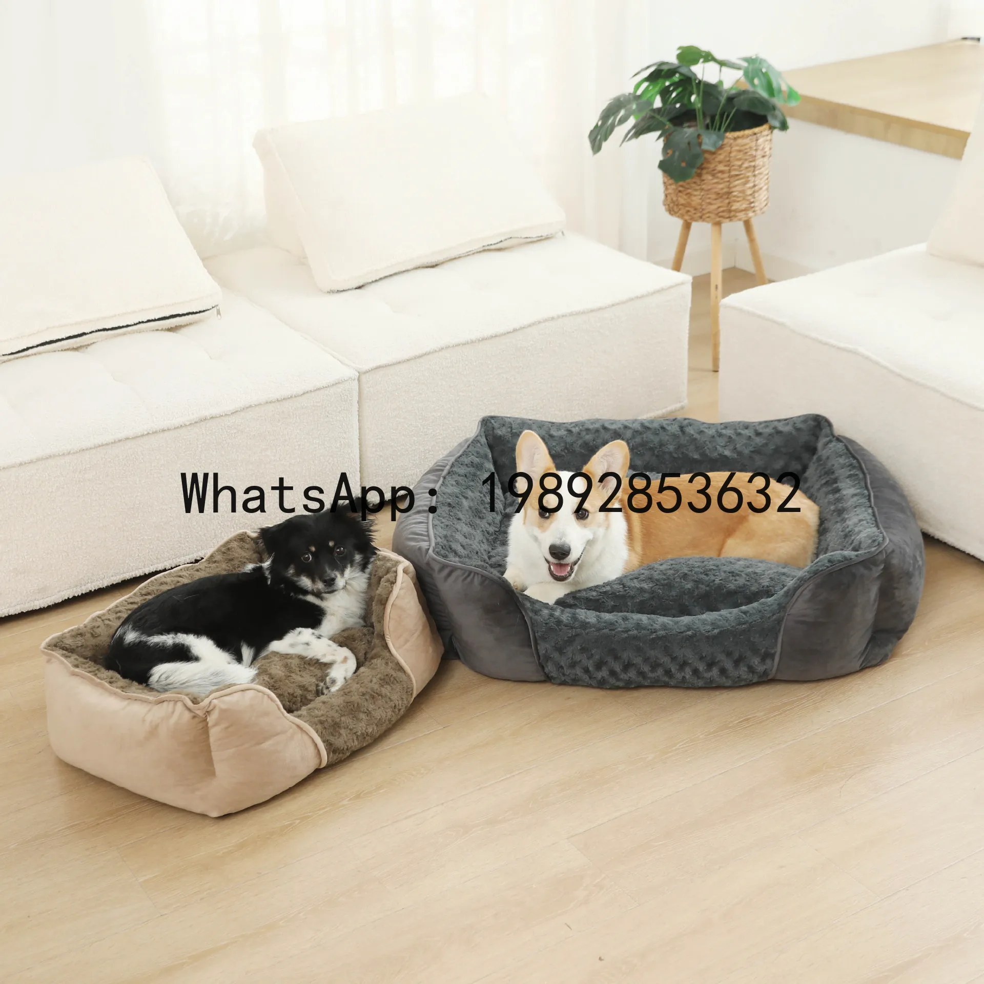 Pet X Supplies & Tack Howell Photos - Casa para gatos X, caseta para