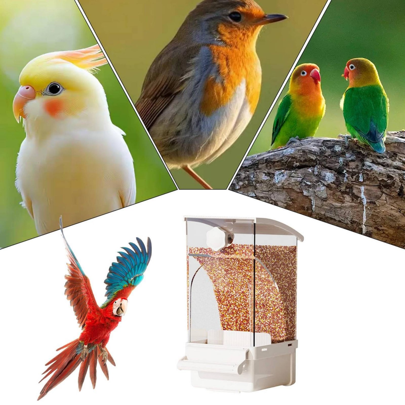 Pet Supplies In - Comedero Automático para Aves con Separación