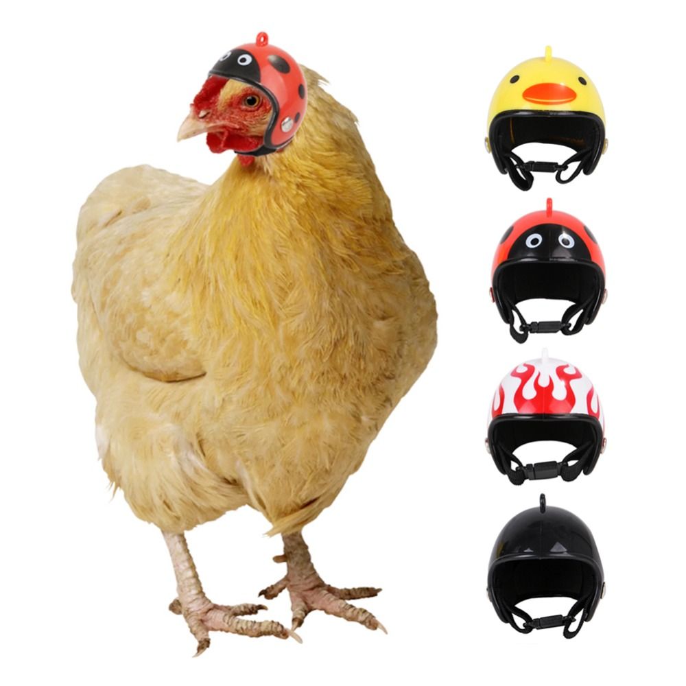 Pet X Supplies & Tack Howell Photos - ABS Artículos para Mascotas, Divertido Casco