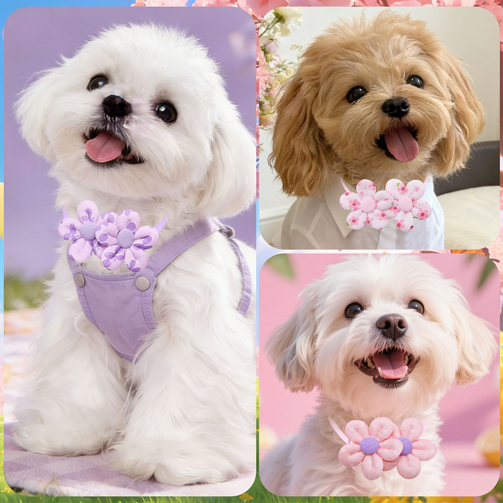 10 Uds. Lazos para perros con  - Pet Supplies Coupon reseña y precio