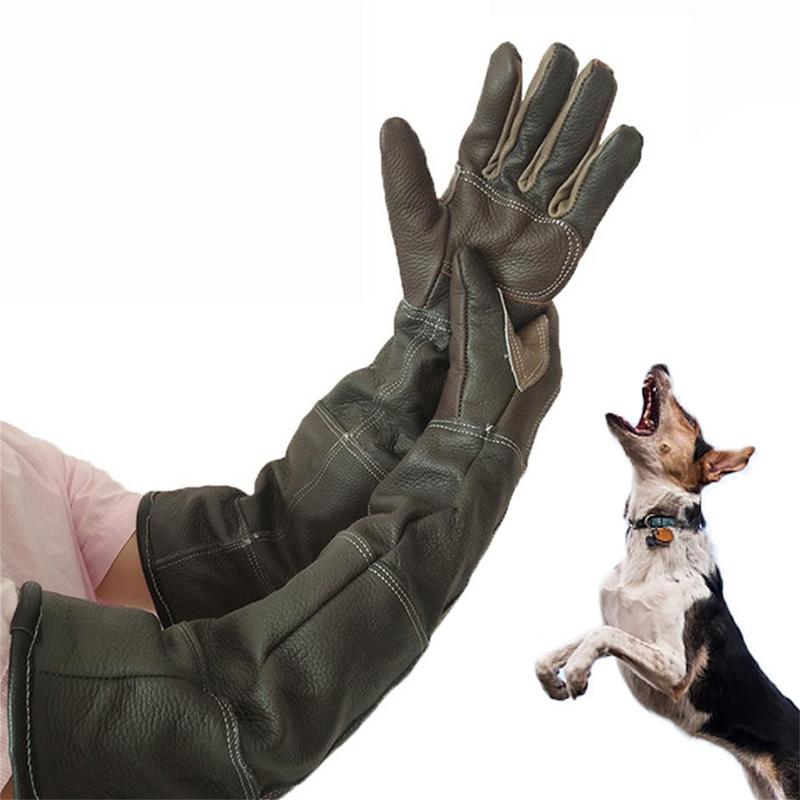 Guantes para mascotas de cuero - Pet Grooming Glove reseña y precio