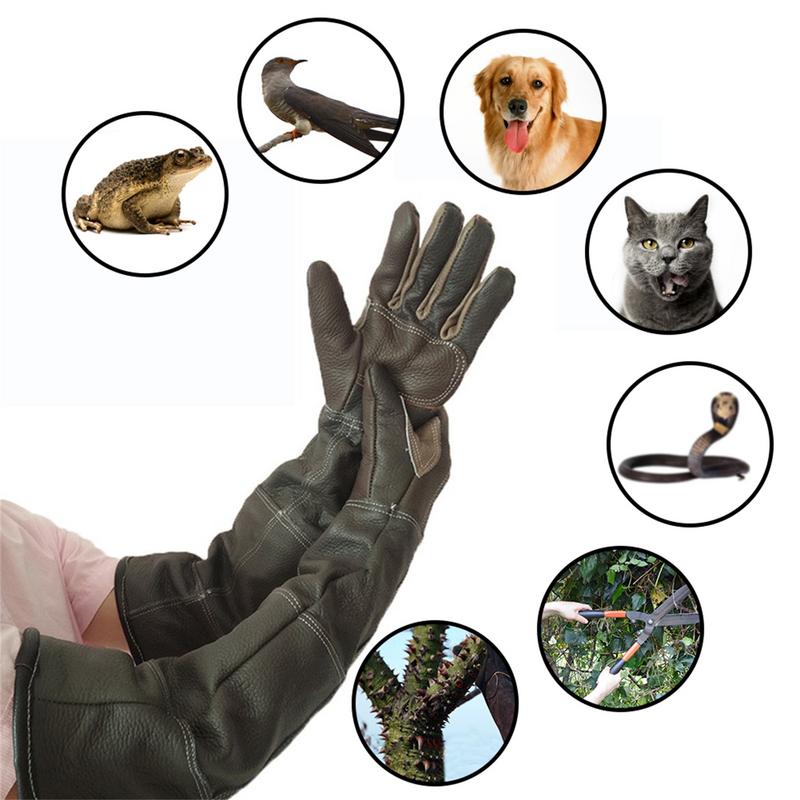Guantes para mascotas de cuero - Pet Grooming Glove reseña y precio