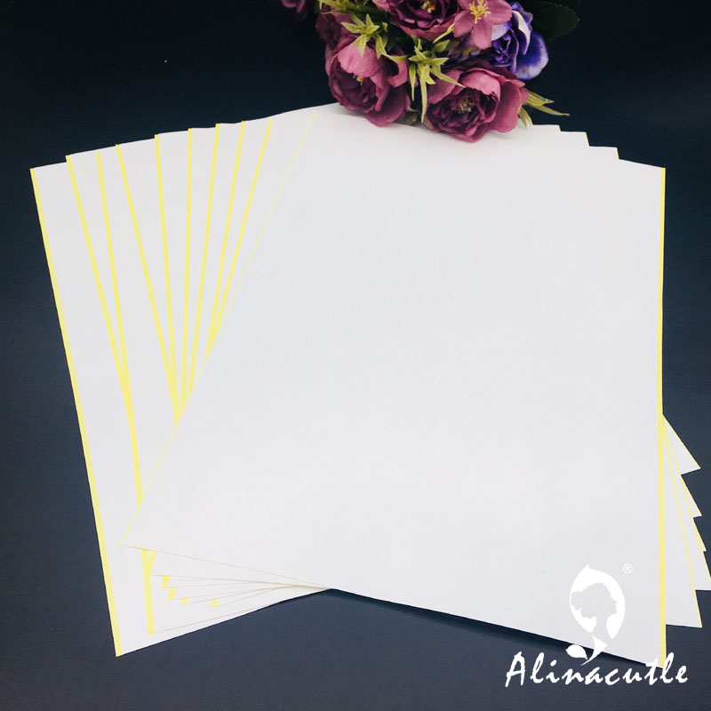 Cinta adhesiva transparente de - Pet X Supplies & Tack Howell Photos reseña y precio