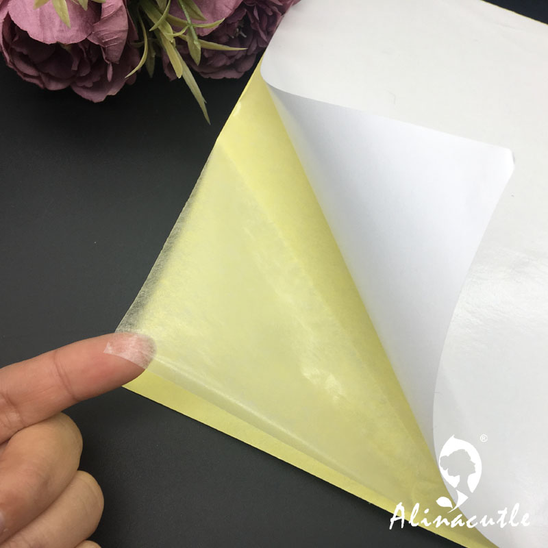 Cinta adhesiva transparente de - Pet X Supplies & Tack Howell Photos reseña y precio