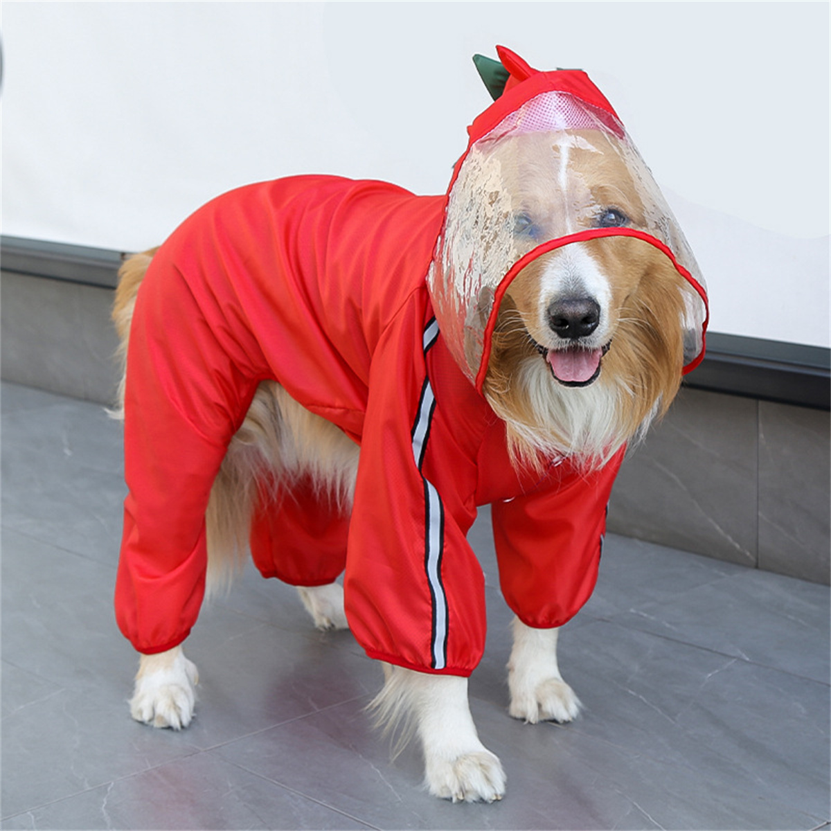Chubasquero impermeable para p - Pet Supplies Coupon reseña y precio