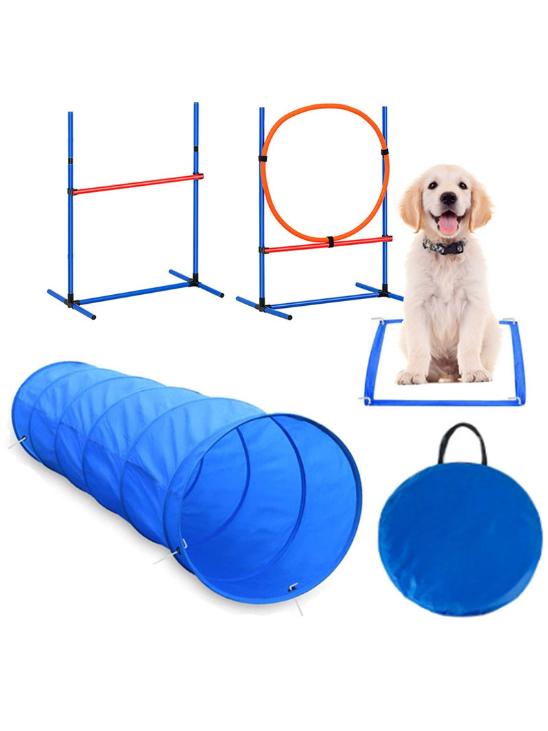 Accesorios para Entrenento de  - Pet Supplies In reseña y precio
