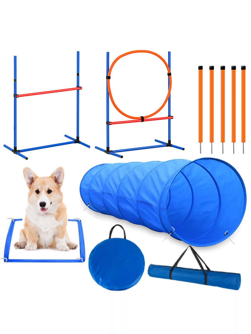 Accesorios para Entrenento de  - Pet Supplies In reseña y precio