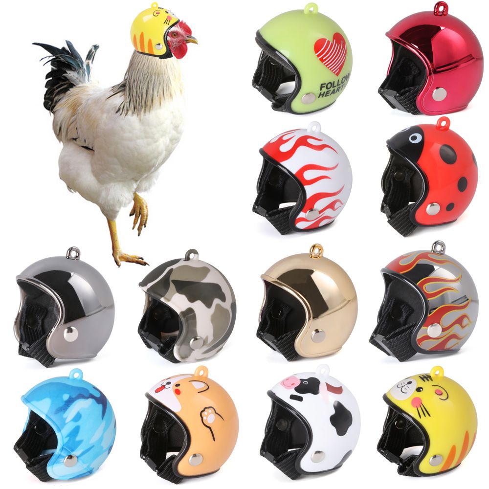ABS Artículos para Mascotas, D - Pet X Supplies & Tack Howell Photos reseña y precio