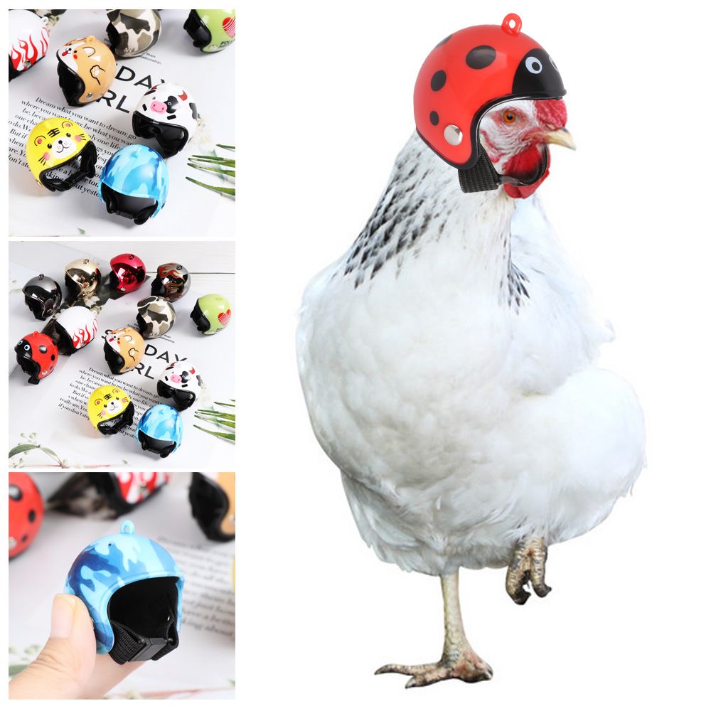 Divertidos Accesorios para Mas - Pet X Supplies & Tack Howell Photos reseña y precio